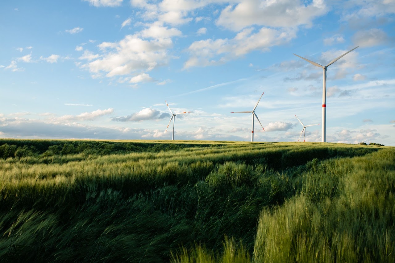 Vegetation gedeiht prächtig in der Nähe von Windrädern - Foto: Wirestock auf Freepik