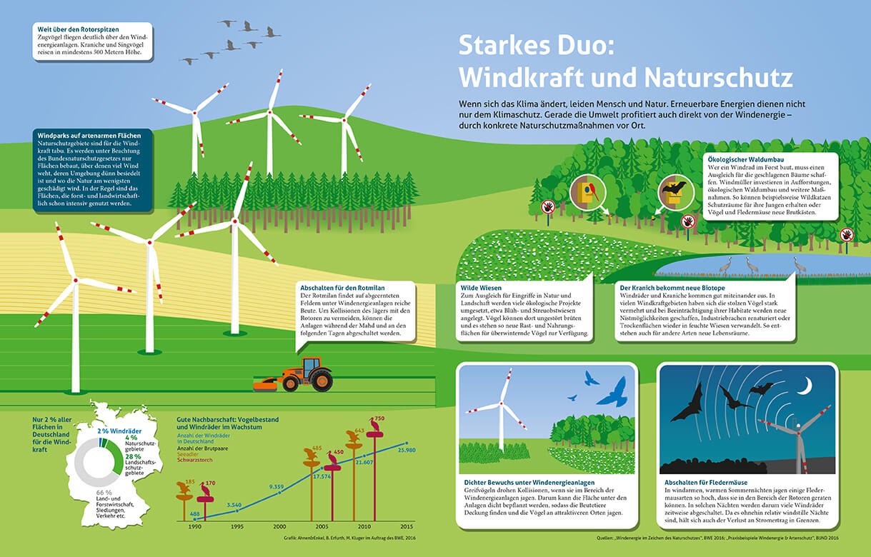 Übersichtsgrafik Zusammenleben von Windrad und Natur